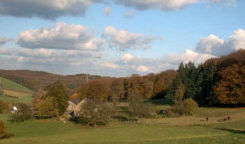 Artikelbild zu Artikel Jetzt anmelden: Wanderung durch die Elfringhauser Schweiz